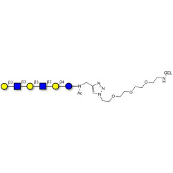 Para-Lacto-N-hexaose 2 (Para-LNH2) grafted on gel for affinity chromatography (Linker-GEL A)