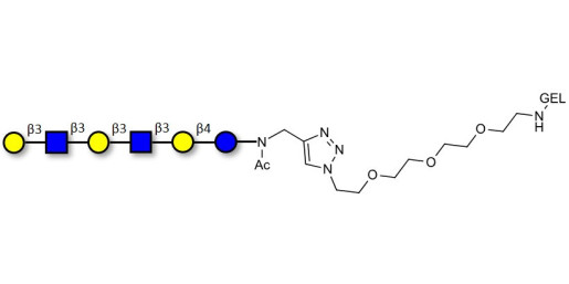 Para-Lacto-N-hexaose 2 (Para-LNH2) grafted on gel for affinity chromatography (Linker-GEL A)