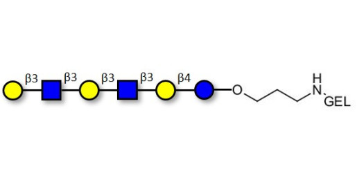 Para-Lacto-N-hexaose 2 (Para-LNH2) grafted on gel for affinity chromatography (Linker-GEL B)