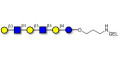 Para-Lacto-N-hexaose 2 (Para-LNH2) grafted on gel for affinity chromatography (Linker-GEL B)