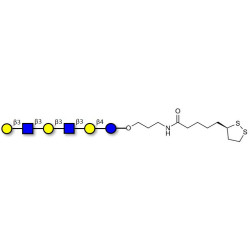 Para-Lacto-N-hexaose 2 (Para-LNH2) with cyclic di-thiol (Linker-LIPO A)