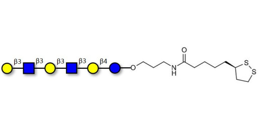 Para-Lacto-N-hexaose 2 (Para-LNH2) with cyclic di-thiol (Linker-LIPO A)