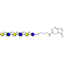 Para-Lacto-N-hexaose 2 (Para-LNH2) linked to maleimide (Linker-MAL A)