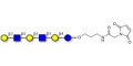 Para-Lacto-N-hexaose 2 (Para-LNH2) linked to maleimide (Linker-MAL A)