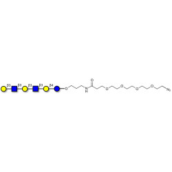 Para-Lacto-N-hexaose 2 (Para-LNH2) with terminal azide (Linker-N3 A)