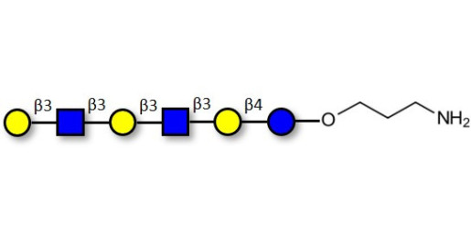 Para-Lacto-N-hexaose 2 (Para-LNH2) with free terminal amine (Linker-NH2 A)