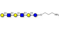 Para-Lacto-N-hexaose 2 (Para-LNH2) with free terminal amine (Linker-NH2 A)
