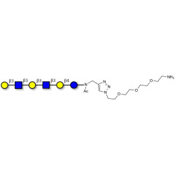 Para-Lacto-N-hexaose 2 (Para-LNH2) with free terminal amine (Linker-NH2 B)