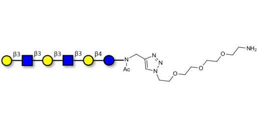 Para-Lacto-N-hexaose 2 (Para-LNH2) with free terminal amine (Linker-NH2 B)