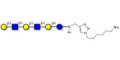 Para-Lacto-N-hexaose 2 (Para-LNH2) with free terminal amine (Linker-NH2 D)
