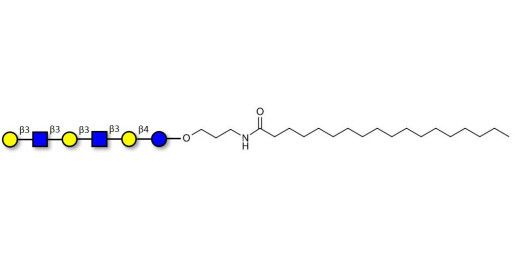 Para-Lacto-N-hexaose 2 (Para-LNH2) with stearic chain (Linker-STEA A)