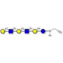 Para-Lacto-N-hexaose 2 (Para-LNH2) with terminal alkyne (Linker-CΞCH A)