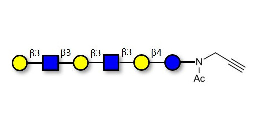 Para-Lacto-N-hexaose 2 (Para-LNH2) with terminal alkyne (Linker-CΞCH A)