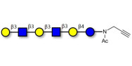 Para-Lacto-N-hexaose 2...