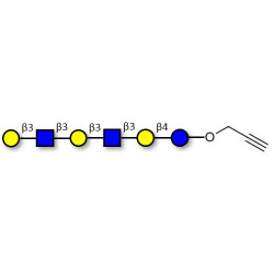Para-Lacto-N-hexaose 2 (Para-LNH2) with terminal alkyne (Linker-CΞCH B)
