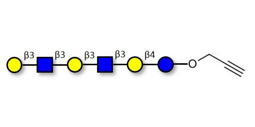 Para-Lacto-N-hexaose 2 (Para-LNH2) with terminal alkyne (Linker-CΞCH B)