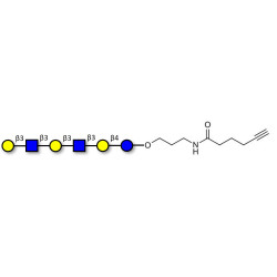 Para-Lacto-N-hexaose 2 (Para-LNH2) with terminal alkyne (Linker-CΞCH C)