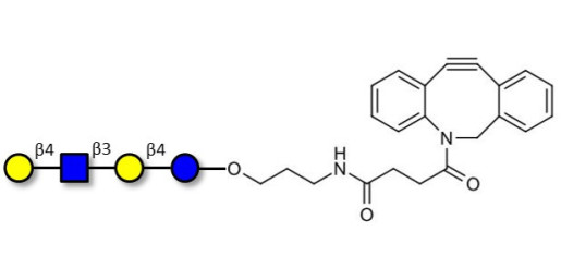 Lacto-N-neotetraose (LNnT / neo-LNT) with DBCO (Linker-DBCO A)