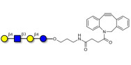 Lacto-N-neotetraose (LNnT /...