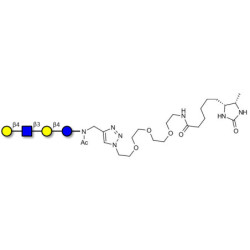 Lacto-N-neotetraose (LNnT / neo-LNT) linked to desthiobiotin (Linker-DBT-A)