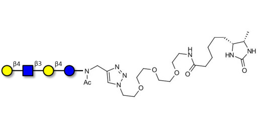 Lacto-N-neotetraose (LNnT / neo-LNT) linked to desthiobiotin (Linker-DBT-A)