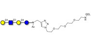 Lacto-N-neotetraose (LNnT /...