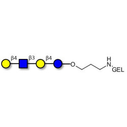 Lacto-N-neotetraose (LNnT / neo-LNT) grafted on gel for affinity chromatography (Linker-GEL B)