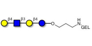 Lacto-N-neotetraose (LNnT /...