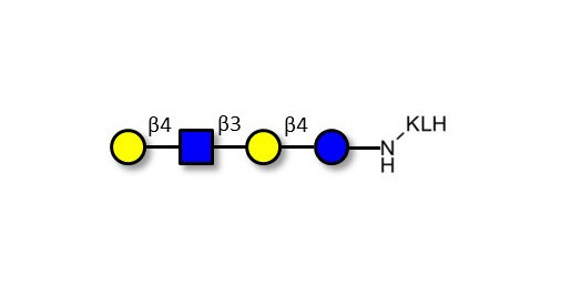 Lacto-N-neotetraose (LNnT / neo-LNT) grafted on KLH