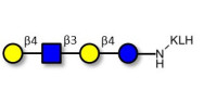 Lacto-N-neotetraose (LNnT /...