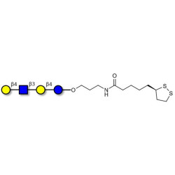 Lacto-N-neotetraose (LNnT / neo-LNT) with cyclic di-thiol (Linker-LIPO A)