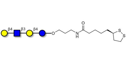 Lacto-N-neotetraose (LNnT / neo-LNT) with cyclic di-thiol (Linker-LIPO A)