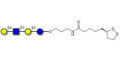 Lacto-N-neotetraose (LNnT / neo-LNT) with cyclic di-thiol (Linker-LIPO A)