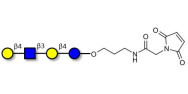 Lacto-N-neotetraose (LNnT /...