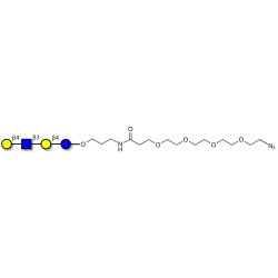 Lacto-N-neotetraose (LNnT / neo-LNT) with terminal azide (Linker-N3 A)