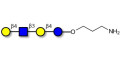 Lacto-N-neotetraose (LNnT / neo-LNT) with free terminal amine (Linker-NH2 A)