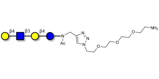 Lacto-N-neotetraose (LNnT / neo-LNT) with free terminal amine (Linker-NH2 B)