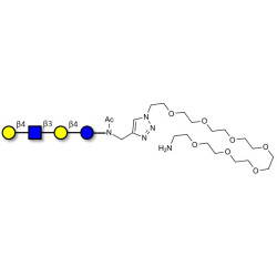 Lacto-N-neotetraose (LNnT / neo-LNT) with free terminal amine (Linker-NH2 C)