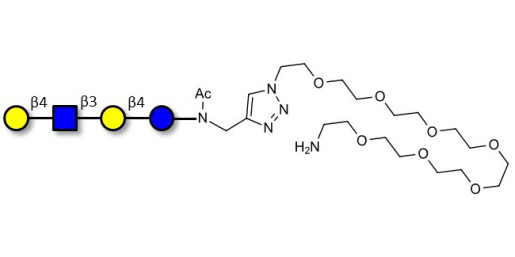 Lacto-N-neotetraose (LNnT / neo-LNT) with free terminal amine (Linker-NH2 C)