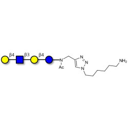 Lacto-N-neotetraose (LNnT / neo-LNT) with free terminal amine (Linker-NH2 D)