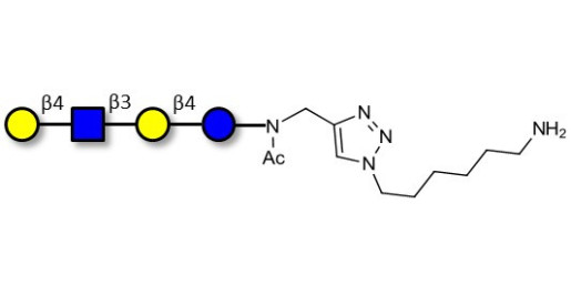 Lacto-N-neotetraose (LNnT / neo-LNT) with free terminal amine (Linker-NH2 D)