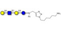 Lacto-N-neotetraose (LNnT / neo-LNT) with free terminal amine (Linker-NH2 D)