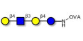 Lacto-N-neotetraose (LNnT / neo-LNT) grafted on OVA
