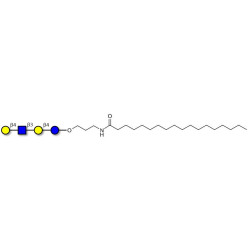 Lacto-N-neotetraose (LNnT / neo-LNT) with stearic chain (Linker-STEA A)