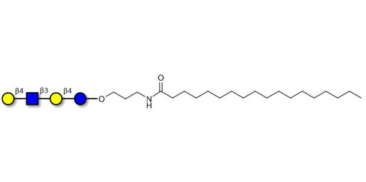 Lacto-N-neotetraose (LNnT / neo-LNT) with stearic chain (Linker-STEA A)