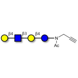 Lacto-N-neotetraose (LNnT / neo-LNT) with terminal alkyne (Linker-CΞCH A)