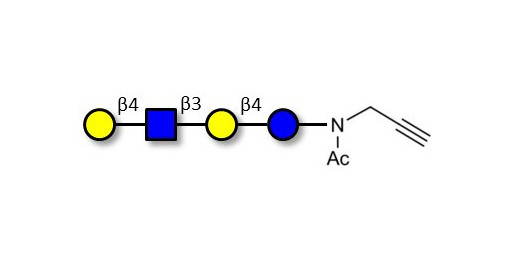 Lacto-N-neotetraose (LNnT / neo-LNT) with terminal alkyne (Linker-CΞCH A) - GLY021-NPR