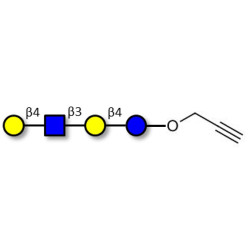 Lacto-N-neotetraose (LNnT / neo-LNT) with terminal alkyne (Linker-CΞCH B)