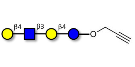 Lacto-N-neotetraose (LNnT / neo-LNT) with terminal alkyne (Linker-CΞCH B)