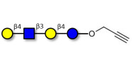 Lacto-N-neotetraose (LNnT /...